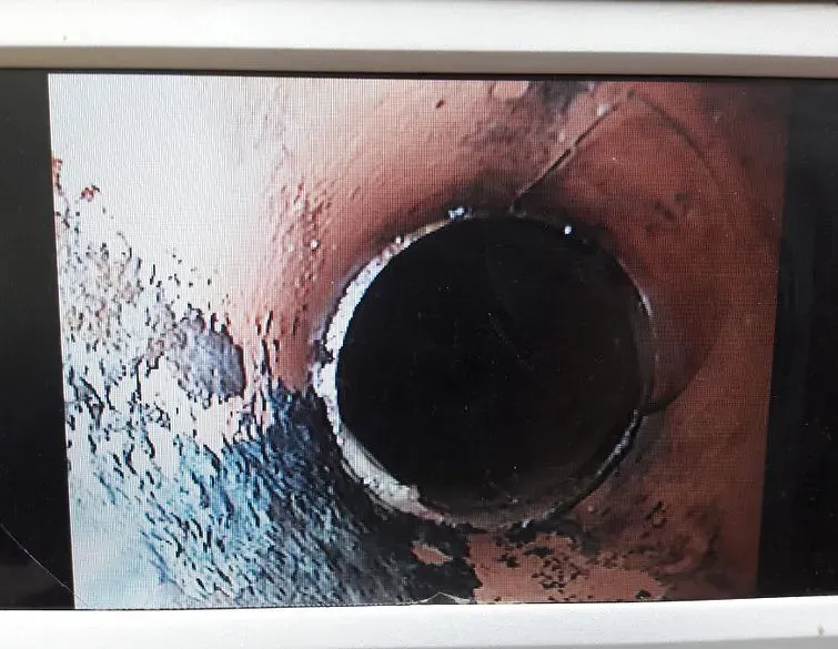 inspection-camera